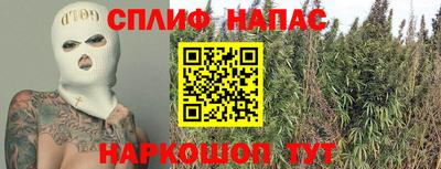 стаф Бузулук