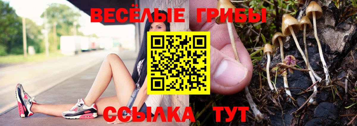 Псилоцибиновые грибы прущие грибы Ногинск